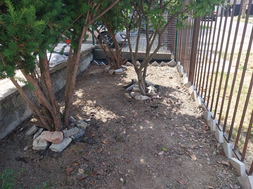 Časť vyčsistenej záhradky po práci dobrovoľníkov.