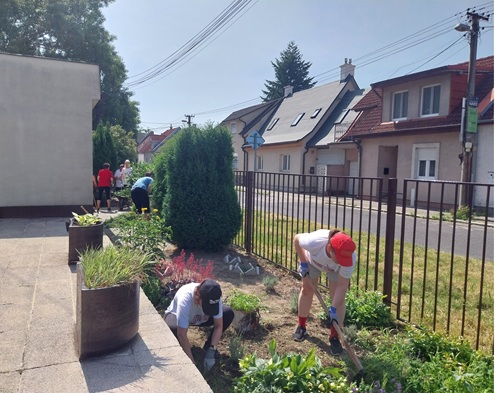 Priestor záhradky  pred budovou Domova sv. Jána z Boha pri skrášľovaní.